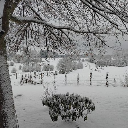 Вилла Abri De Jardin Вьельсальм Экстерьер фото